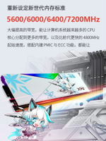 威剛華碩吹雪聯名DDR5 6000/6400/6800 32G(16Gx2)臺式電腦記憶體內存條