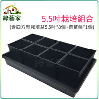 【綠藝家】5.5吋栽培組合(含四方型栽培盆5.5吋黑色*8個+育苗盤*1個)