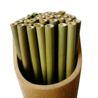 Bambu Wulung Tamiang buluh panjang 50cm paket 10 biji
