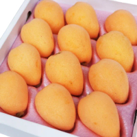 【RealShop】日本長崎溫室枇杷禮盒 500g 約9-12顆(當季空運 水果禮盒 真食材本舖)