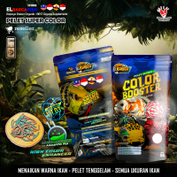 PELET COLOR Udang x Kepiting RED BLUE BOOSTER optimalkan Warna Sirip Sisik ikan hias channa stewarti