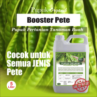 Pupuk booster petai 5 liter, melebatkan bunga dan mengurangi kerontokan buah muda, cocok untuk benih
