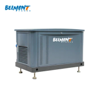 7kw 8kw 14kw 15kw 17.5kv 19Kva 20kva 16kw 25kva 36kva 20kw 22kw 23kw Air Cooled LPG Home Natural Gas Generator for Whole House