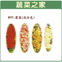 【蔬菜之家】H11.蜀葵(混合色，高150cm)種子(共有兩種包裝規格可選)