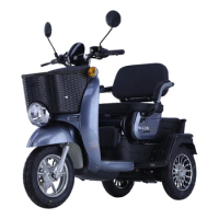 other tricycle adult 3 wheel steel motorcycle motroized electric tricycles trike