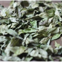 Daun Kari / Daun Kari kering / curry leaves / Daun kari Spices