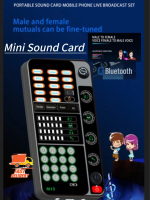 M13 Mini kad bunyi Penukar Suara Kesan Audio 16 Kesan Suara Untuk Telefon Bimbit Komputer Langsung P