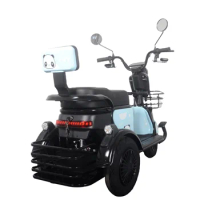 2022 Popular Good Price Adult 48v China Electric Scooter 3 Wheel Cargo Electric Tricycle
