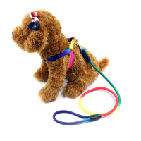 6B04 Pet Colorful Round Rope Leash Small Dog Walking Harness Round Rope Puppy Chain Dog Leash