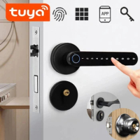 KingKu Biometric Smart Lock Fingerprint Password Electric Digital Lock Tuya Zinc Alloy Keyless Security Door Handle for Home