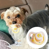 Pet Pacifier Day And Night Dual use Dust Cover Pacifier Pacifier Sleeping U8N9