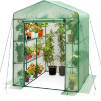 Walk in Greenhouse, Steel-Frame Greenhouse, Anti-Tear Cover, Outdoor Greenhouse Shelves, Greenhouse Kit for Plant Protection,