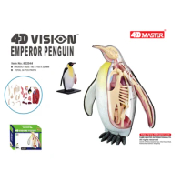 4D Master 4D Vision Emperor Penguin Animal Organ Anatomy Model Laboratory Education Equipment DIY Puzzle Assembling Toy