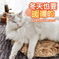 【指選好物】USB充電寵物電熱毯(寵物電熱毯 寵物電暖器 寵物毯子 寵物電熱)