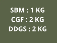 SUPER Paket Formulasi Pakan Lengkap SBM 1 Kg CGF 2 Kg DDGS 2 Kg