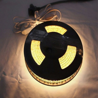 《台南悠活運動家》JIA LORNG 嘉隆 LED 5-MY 5米可微調LED燈條 (黃光)
