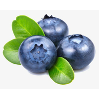 【168all】 50ml  藍莓香精 / 原食品級2000倍 台灣水果牌