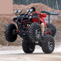 250CC Gas fatbike Motorcycle Outdoor Teenagers Farm Vehicle bycicle Beach Buggy Racing Bicycle gravel downhill ATV Quad Bike
