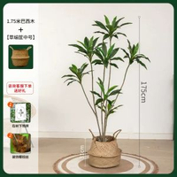 模擬綠植物盆栽天鵝絨巴西木高階輕奢北歐風室內客廳落地裝飾擺件