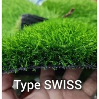 SKY - RUMPUT SINTETIS PREMIUM TEBAL 3 CM (HARGA PER 1X1 MTR) 99.9% SEPERTI RUMPUT ASLI ADA LUBANG PO