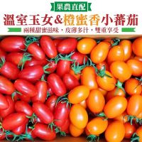 【果農直配】溫室玉女番茄＋橙蜜香小番茄雙拼小番茄5斤