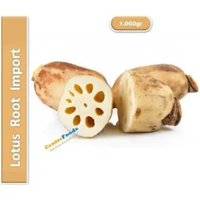 Akar Teratai Segar - Sayur Akar Teratai / Lotus Root Import Fresh | 1.000gr [ Harga Per KG ]