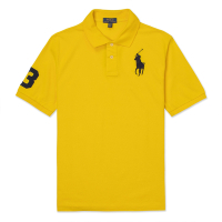 Polo Ralph Lauren RL 熱銷刺繡大馬短袖POLO衫(男青年)-黃色
