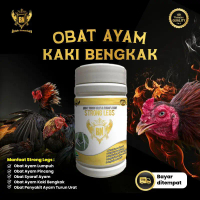 STRONG LEGS Obat ayam lumpuh turun urat tedun rambat kaki bengkak cacar kaki
