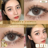 ฝาทอง Nana view Gray คอนแทคเลนส์ พรีเมี่ยม ตอบโจทย์สายฝอ ตาหวาน ค่าน้ำสูง 60%