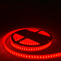 [現貨]LED燈條5米 紅藍綠 三燈色 120燈/M 燈條12mm加寬 可裁剪加厚背膠 戶外防水 LED 2835 CE認証