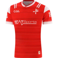 2024 Louth GAA Home Jersey Shirt Mens Rugby Jersey Size:S-5XL (Custom name and number )