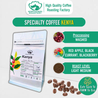 Cà Phê Kenya Kiampu  Mountain Pearl  Rang Medium Hương Trái Cây Chín, Phù Hợp Pha Phin & Espresso