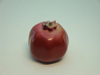 《食物模型》石榴 水果模型 - B1061
