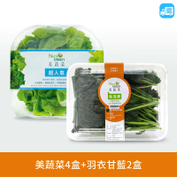 【NICE GREEn 美蔬菜】美蔬菜4入+羽衣甘藍盒2入送4包沙拉醬(生菜 沙拉 蔬菜 萵苣 羽衣甘藍)