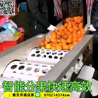 定制  柑橘選果機新款水果分選機分級機橙子桔子貢柑類機篩分機青色三桶