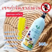 เซทแชมพูสมุนไพร4ylกำจัดเหาสูตรเร่งด่วน