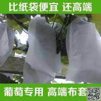 葡萄套袋水果防蟲網袋透氣防鳥瓜果無紡布枇杷葡萄桃子草莓專用袋-UM.有米家居