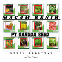 BENIH SAYURAN PER BUNGKUS