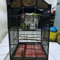 Sangkar burung kicau.sangkar murai. Cak ijo.kenari