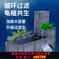 【台灣公司 可開發票】烏龜缸周轉箱過濾箱生態缸免換水龜鱉箱內循環凈水專業大型養殖箱