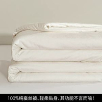 內地直送 - 正品蠶絲被100%純蠶絲親膚加厚被子被芯冬被春秋被空調被四季通用