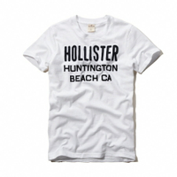 美國百分百【全新真品】Hollister Co. T恤 HCO 短袖 T-shirt  海鷗 白 文字 刺繡 棉質 圓領 男 M L號