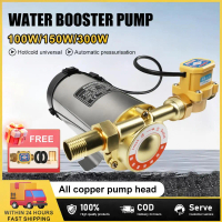 200W/300W Water Booster Pump 50Hz Automatic 220V Home Pressure Lifting Machine Motor