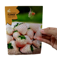Benih Strawberry Putih Pabrikan