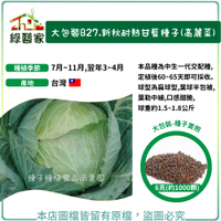 【綠藝家】大包裝B27.新秋耐熱甘藍種子(高麗菜)6克(約1000顆)