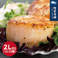 【阿家海鮮】日本北海道生食級大干貝2L (1Kg±10%盒)(16~20顆)