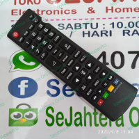 Remote LG LED LCD TV : AKB-5733