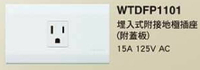 【國際Panasonic】星光系列 WTDFP1101 埋入式附接地插座