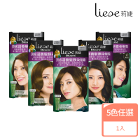 【莉婕】頂級涵養髮膜染髮霜(共5色可選)