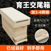 蜜蜂育王箱 蜂王交尾箱 杉木三框蜂箱育王分蜂專用小型交尾蜜蜂箱